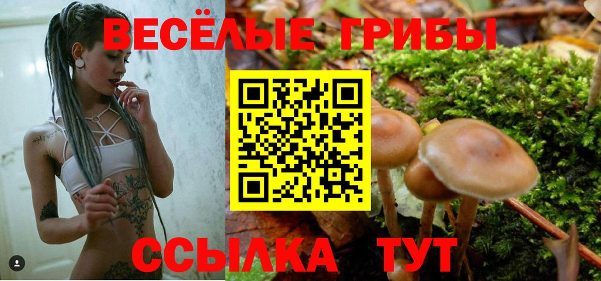 Галлюциногенные грибы мицелий Ржев